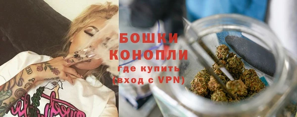 молекула духа Богородск